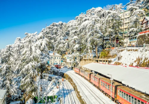 Top 5 Hill Stations in India to Explore in 2025 for a Stunning Summer Getaway